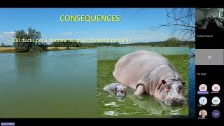 Jindrich Duras - Water quality in ponds with excess nutrients and       surplus fish and waterfowl