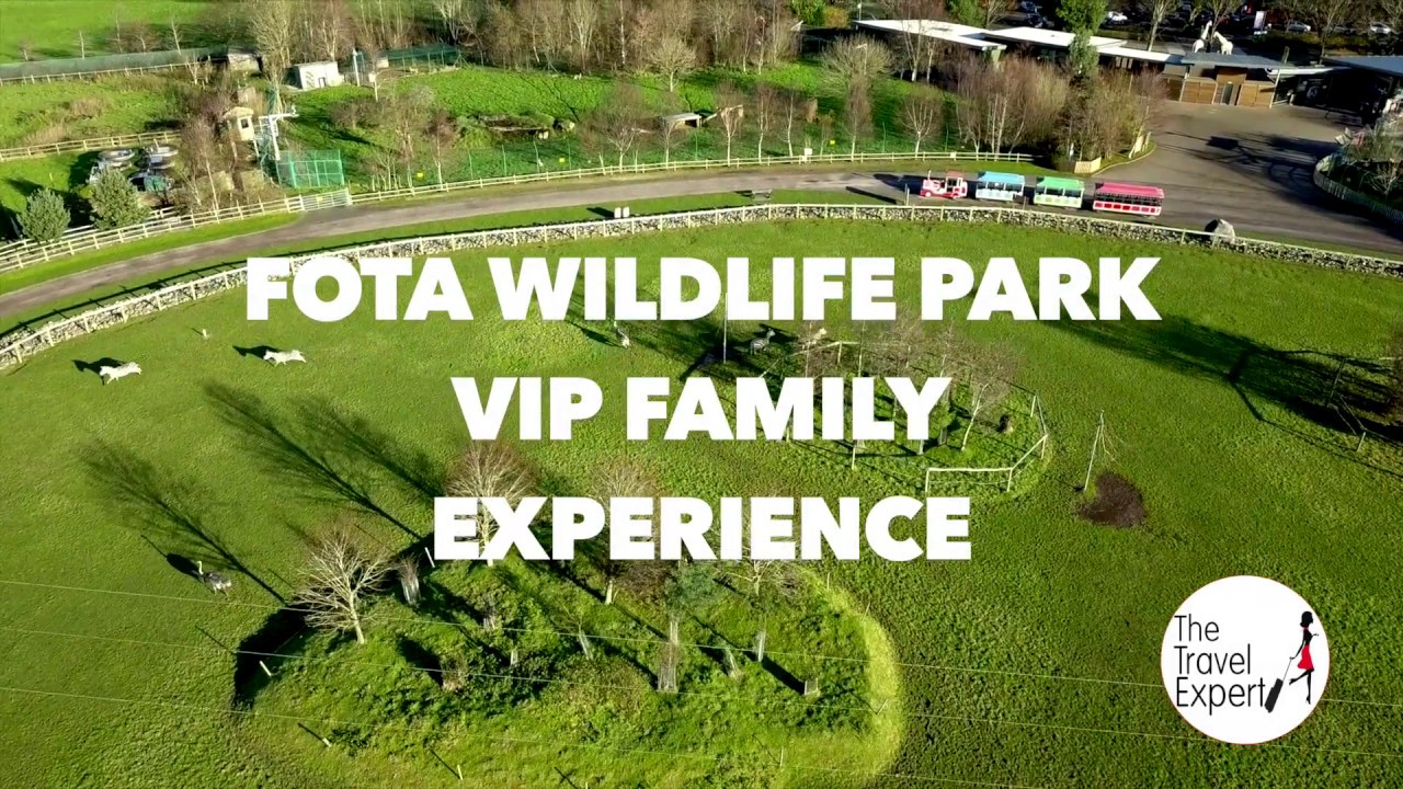 fota wildlife park virtual tour