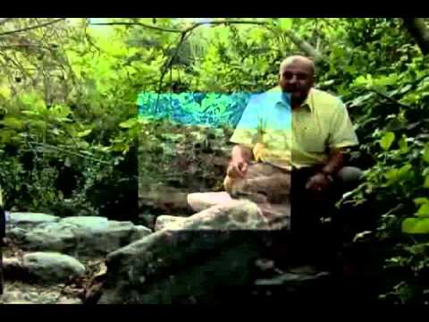 صبارين عاصمة بلاد الروحة عبد الرحمن غنيمه الصباريني