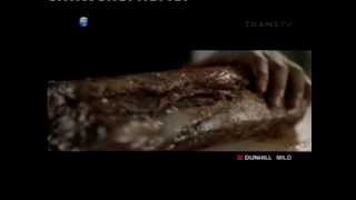 Transtv Dunhill Mild 22 29 2803