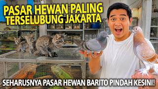 SIDAK PASAR HEWAN PALING TERSELUBUNG DI JAKARTA! BANYAK ORANG YG BELUM TAU! TERAS LENTENG AGUNG!