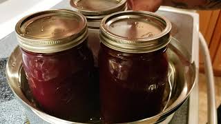 Water Bath Canning Chokecherry Juice