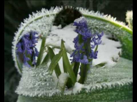 Colder Than Winter - Vince Gill