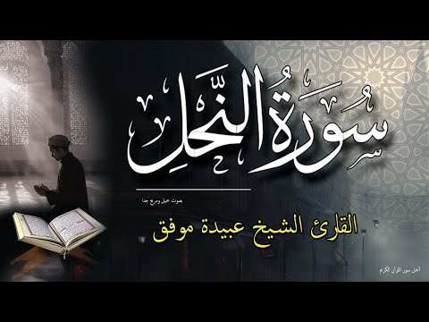 سورة النحل كاملة قران كريم بصوت جميل ومريح جدا جدا الشيخ عبيدة موفق 