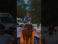 DAYTONA EAGLE MRL - Classificatório GP CAMPEÃO DOS CAMPEÕES #horseracing #cavalo #jockey