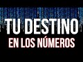 💯 NUMEROLOGIA Y FUTURO | Cual es MI NÚMERO , cómo DESCURBRIRLO y QUE SIGNIFICA en MI VIDA🔮✔️