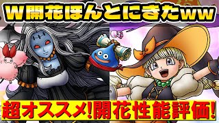 【ドラクエタクト】ハロウィンキャラW開花性能チェック【ベロニカ＆メルトア】
