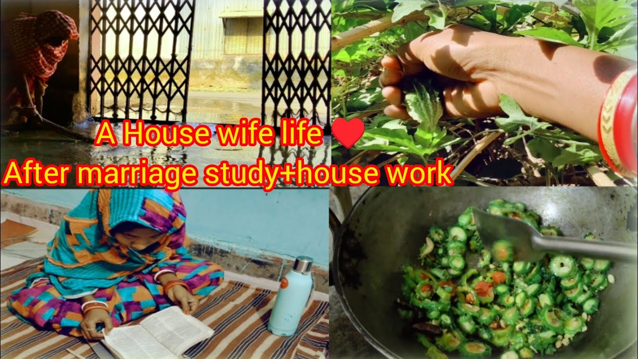 House wife Vegetable harvesting+House cleaning+study+cooking||watch in this vedio//village life ♥️