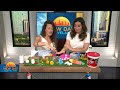 New Day Cleveland: Kids Summer Survival with Kris Renee