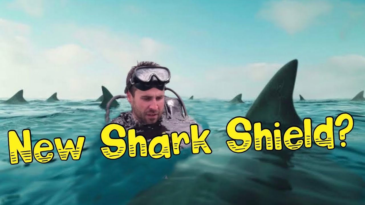 Does This New Shark Shield Actually Work?