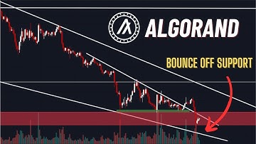 Algorand Price Update - Breakdown, but pattern still intact!