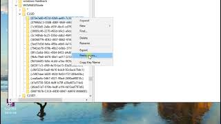 IDM Manual Trial Reset