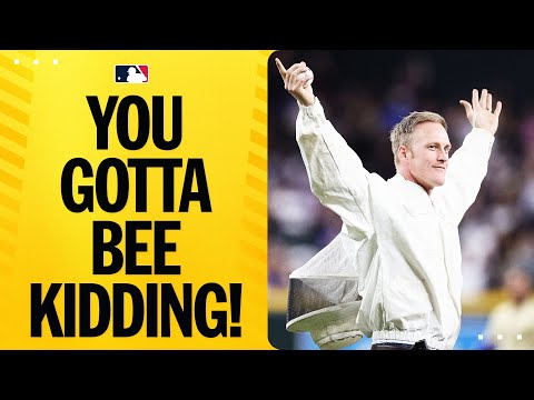 BEE DELAY! 🤣🤣 (Beekeeper shows up and saves the day!)