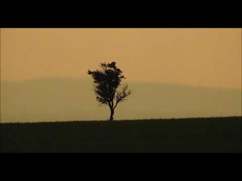 Yana Yana | Manuş Baba