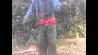 Saigel Loketo Show