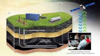 Celebrity HeatWave RF Heating ESEIEH process Wealth