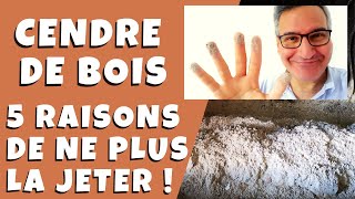 Quel bois fait beaucoup de cendres ?