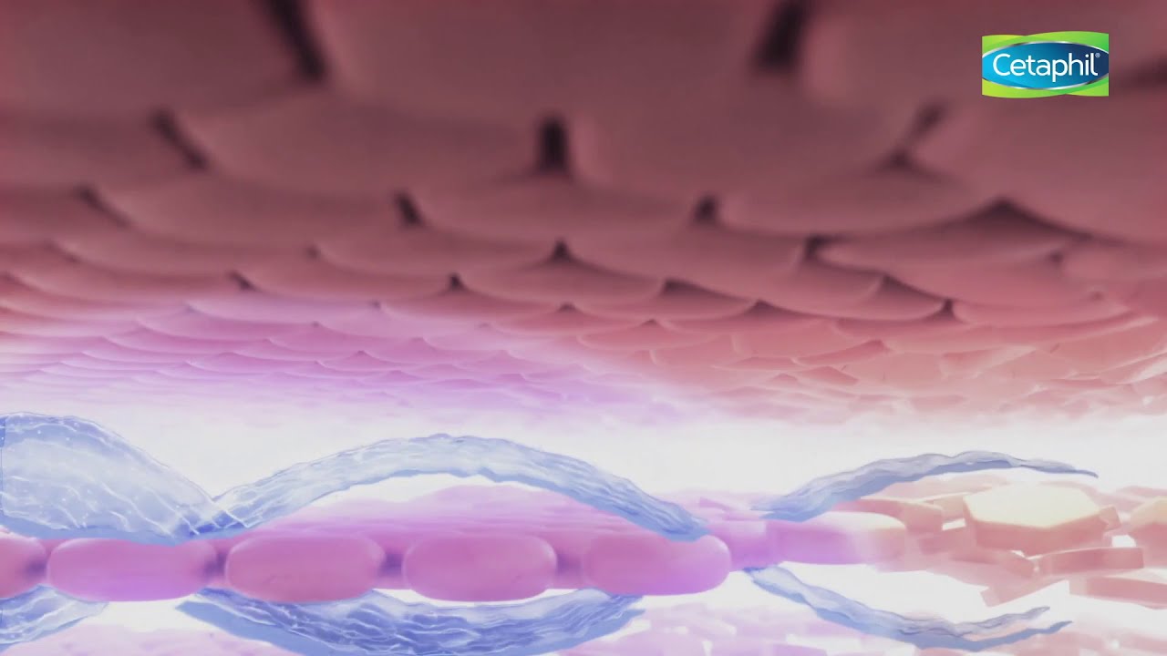 cetaphil sheer hydration