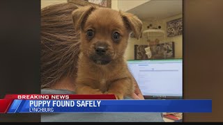 Puppy found safely after stolen from Lynchburg Humane Society