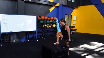 Dumbbell Single Arm Box Step Up | Best Exercise for Legs