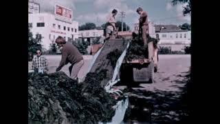 The Aging Of Lakes (1971)