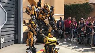 TRANSFORMERS BUMBLEBEE MEETS HIS BIGGEST FAN