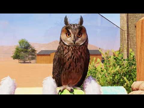 Planet Zoo 2 - Long-Eared Owl Gameplay (PS5 UHD) [4K30FPS]