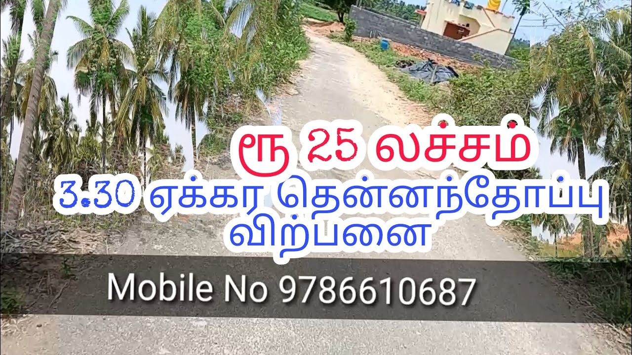 Coconut land for sale Low budget realestate landforsale land