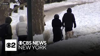 Here's what's being done to protect New Yorkers from the dangerous cold