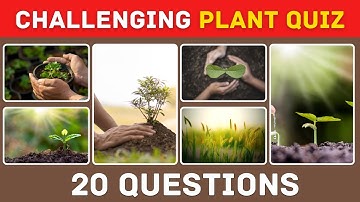 Are You Smarter Than the Average Person? 20 Questions to Prove It #facts #quiz #challenge