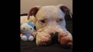 Fedor 21 Weeks - 6 Months