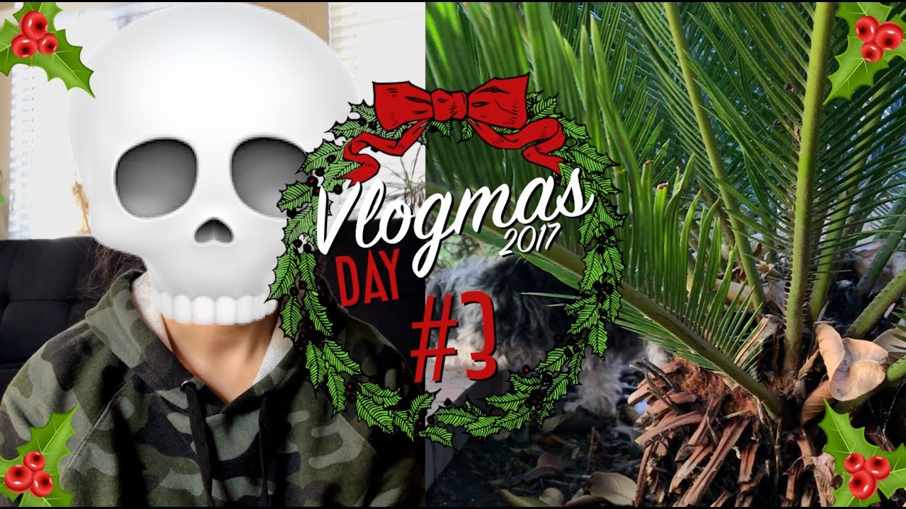 Who is She Dating?! | Vlogmas Day 3 (2017)