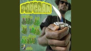 Weed Is My Best Friend (Remix)