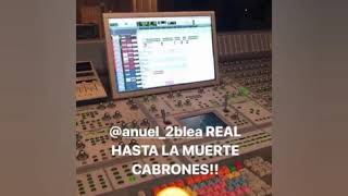 Anuel saldrá en TU NO METES CABRA REMIX (Oficial Preview)