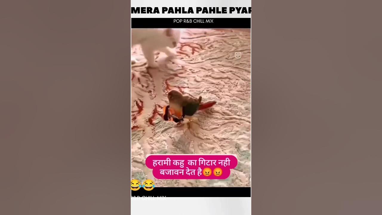 jab-dost-ke-samne-kis-ladki-ko-patana-to-dost-log-nhi-patane-dete-hain