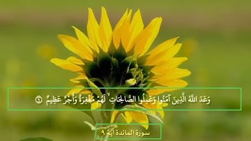 آياتٌ مختارةٌ مِنَ الذكرِ الحكيم سورةُ المائدة ( آية ٩)#هل_القرآن_الأبرار