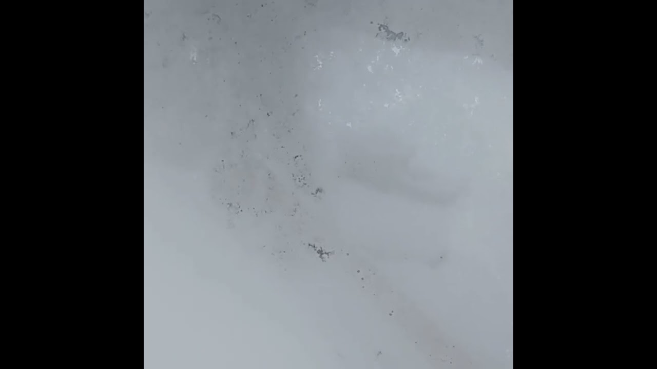 ALICIA SHOULD REMOVE THAT LIVE