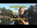 Störe und Lachsforellen im Sommerloch