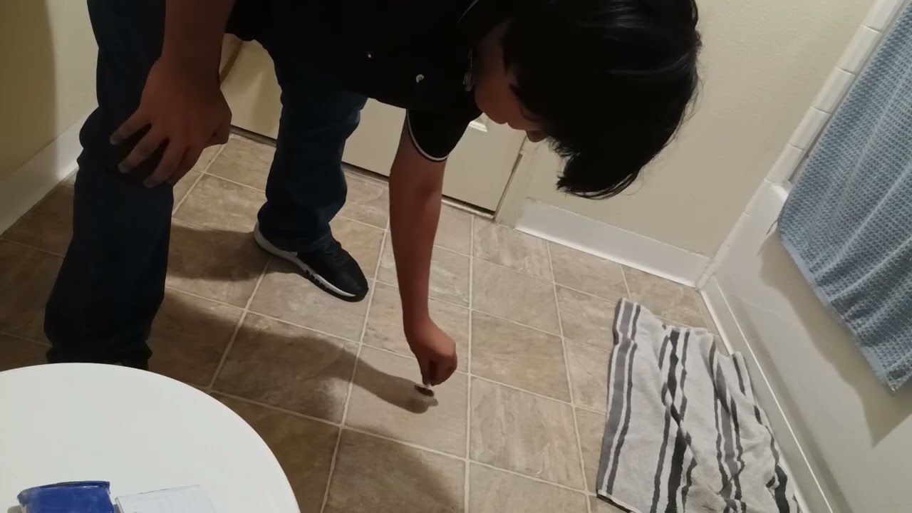 Attempting 4 Knock Off Six Legged Pentathlon Minigames (no Gonggi im never doing that)