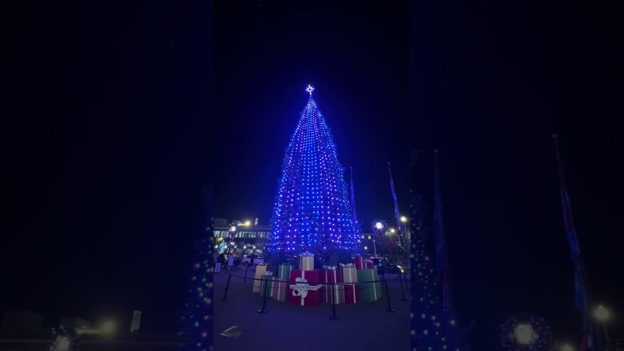 Pier 39 San Francisco at Christmas Night