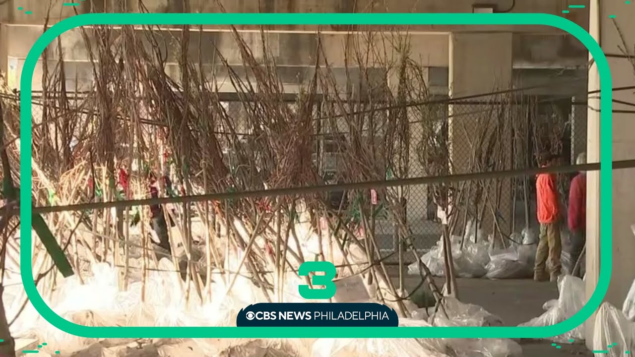 Earth Day celebration: 1,400 trees distributed in Philadelphia