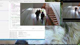 OpenCV vs OpenVino on Ryzen 7 and Neural Compute Stick 2