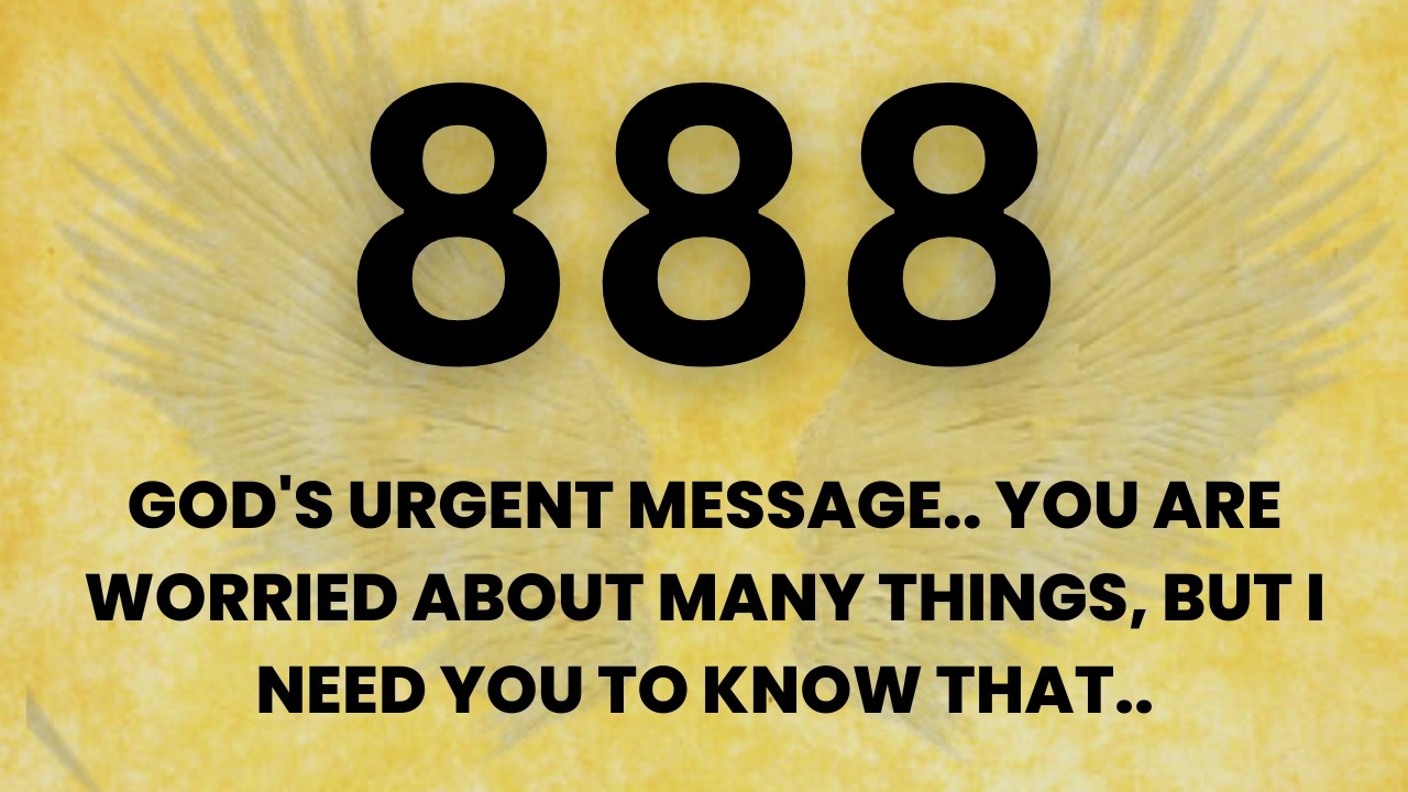 🕊️888 God's urgent message.. You are worried about many things, but i need you to know that..