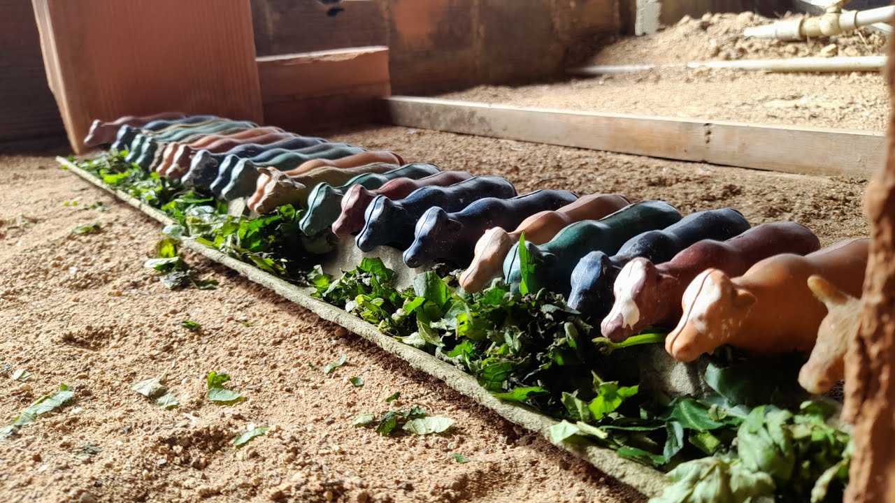 ATRAVESSANDO ÁREA ALAGADA COM O GADO,E VACA NELORE DANDO TRABALHO/FAZENDINHA DE BRINQUEDO 🤠🦬🐎