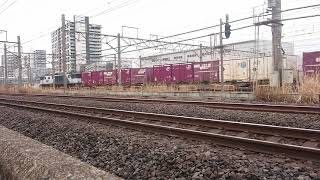 3月30日新川崎駅 愛知A8運用 3075レ EF64-1015 貨物色 牛乳パック