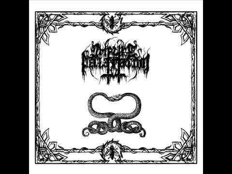 Impure Declaration — Impure Declaration -  Szepty