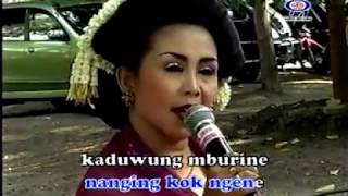 Download Lagu Tukinem feat Wira Swara - Rengu [Official Music Video] MP3