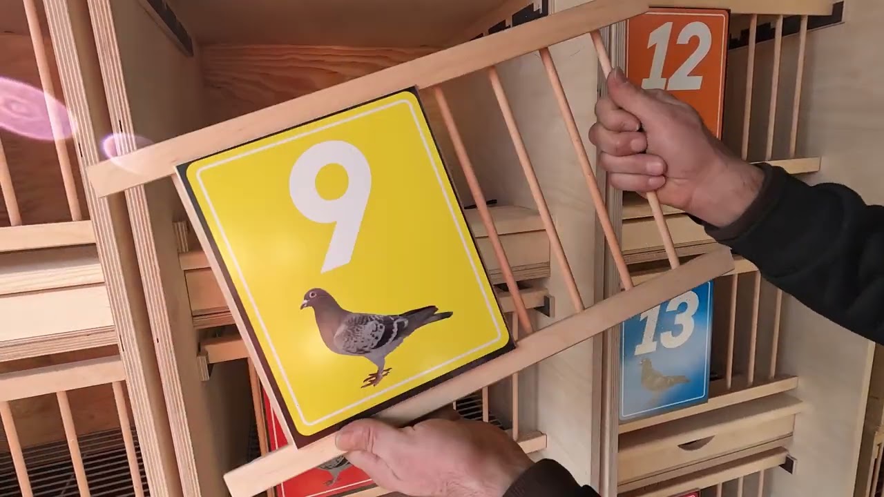 Solidne cele lęgowe W SŁUPKU ze sklejki 15 mm 🔥 Realizacja dla klienta z Bydgoszczy