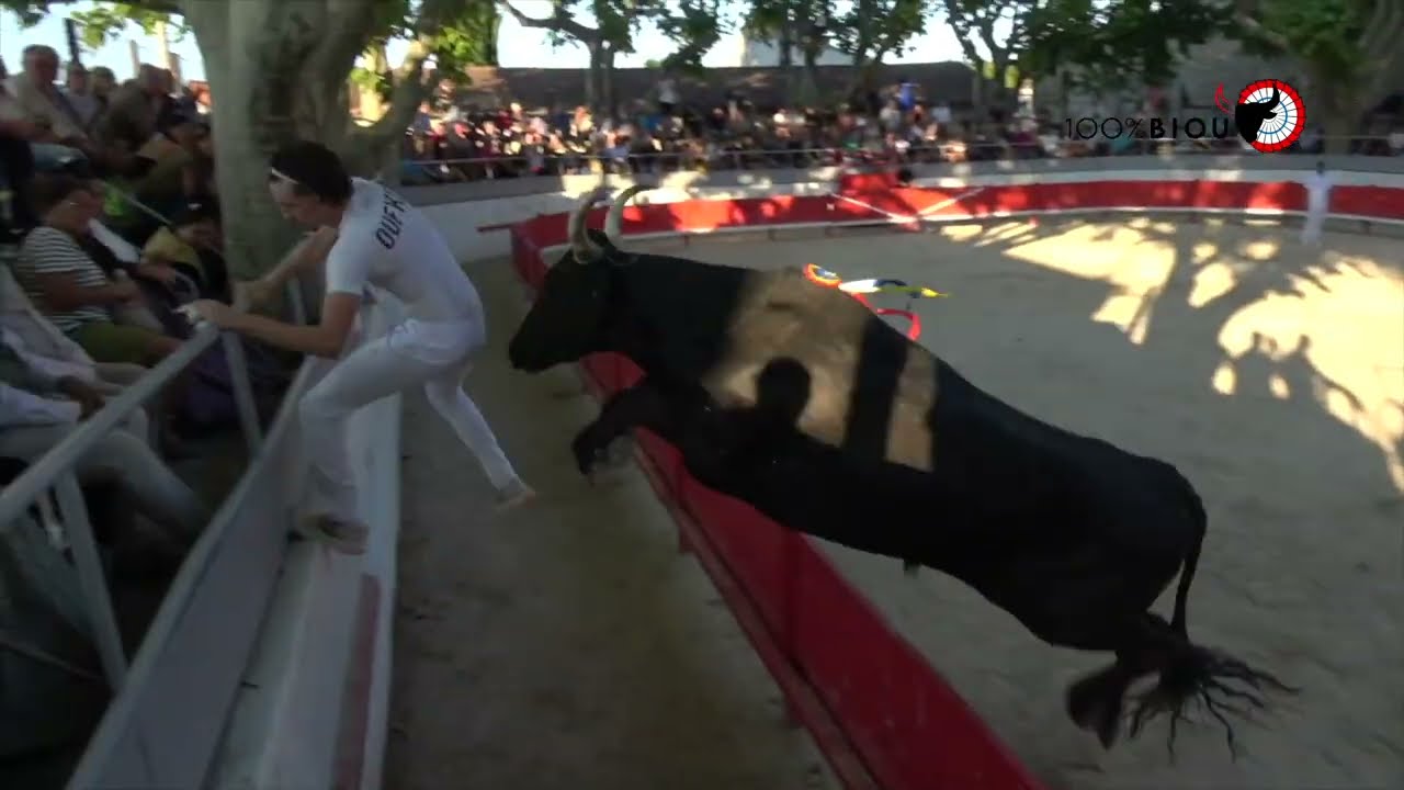 JONQUIÈRES-SAINT-VINCENT SAISON 2025 🧨