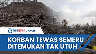 Satu Korban Erupsi Gunung Semeru Ditemukan Tewas, Kondisi Mengenaskan dengan Badan Tak Utuh